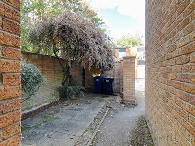 Picture 11